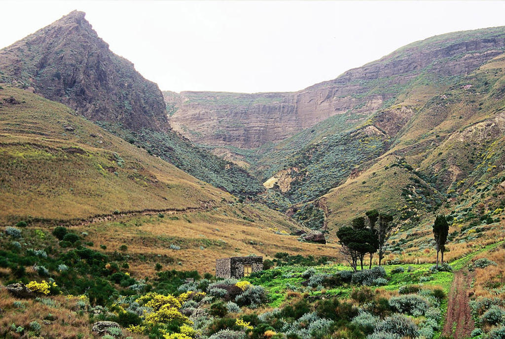 Groene vallei met ruige berghellingen in West-Sicilië, Italië, langs een wandelroute.