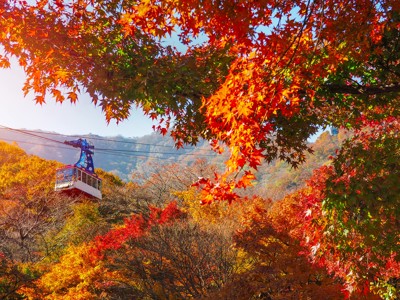 Kabelbaan tussen de herfstkleuren in de bergen van Zuid-Korea.