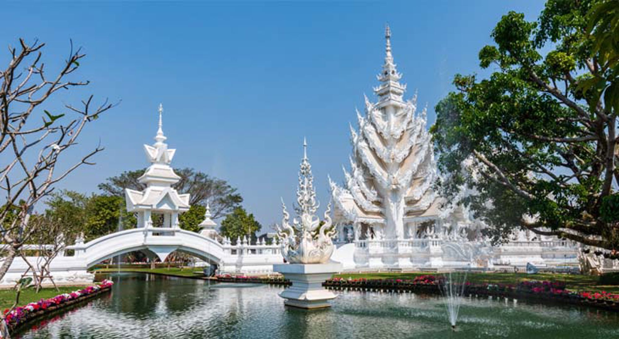 Wat Rong Khun Chiang Rai Mistig boslandschap met bomen in Thailand.