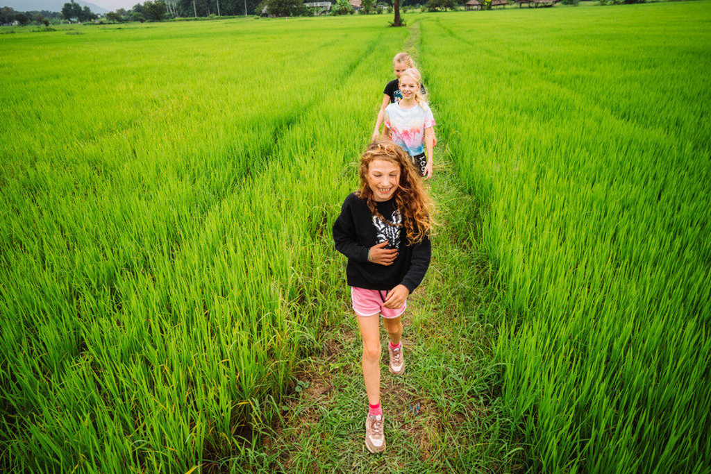 Kinderen wandelen over een pad door groene rijstvelden tijdens een familiereis in Thailand.