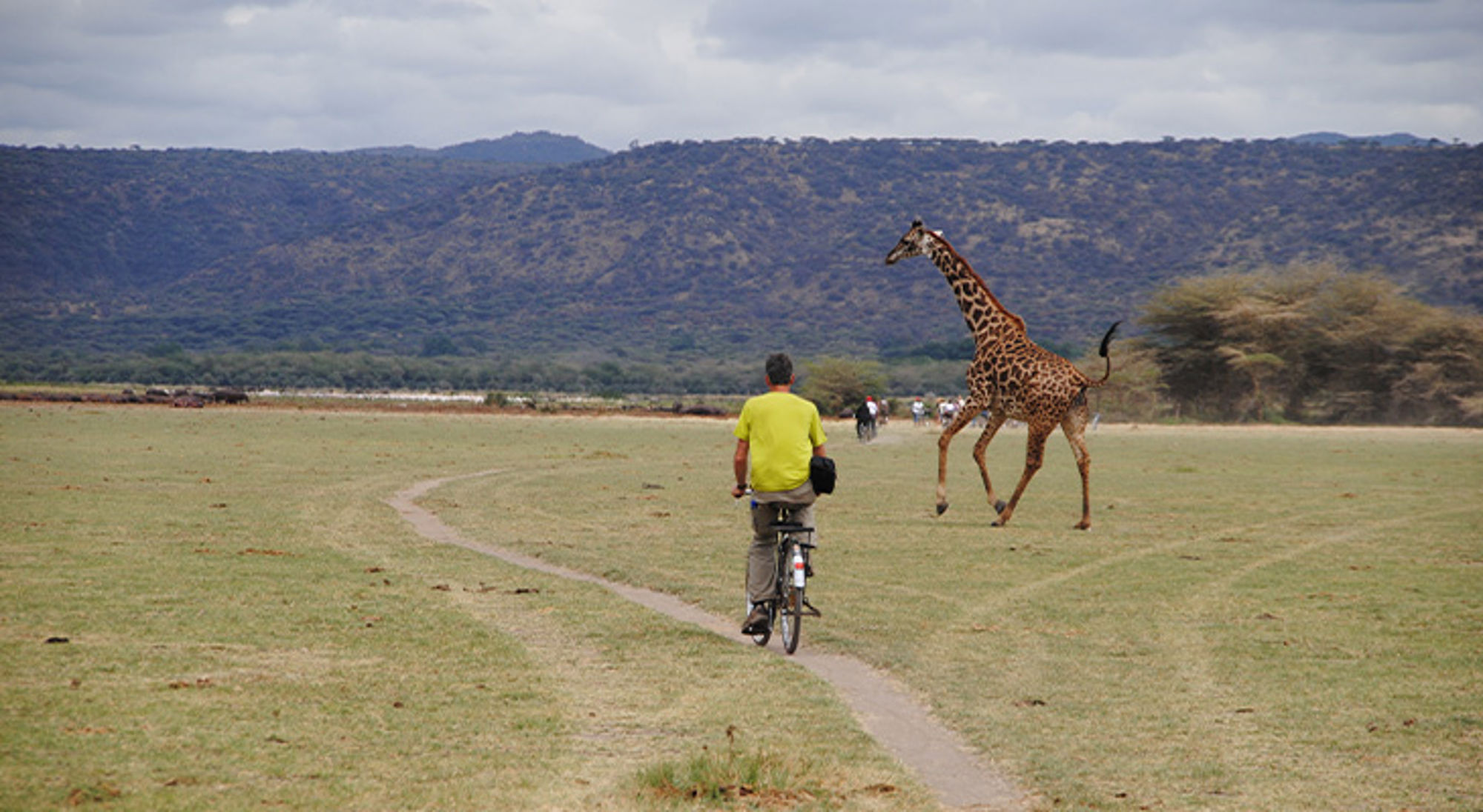 Mto wa Mbu Tanzania Fietser op savannepad terwijl een giraffe langsrent, met bergen op de achtergrond.