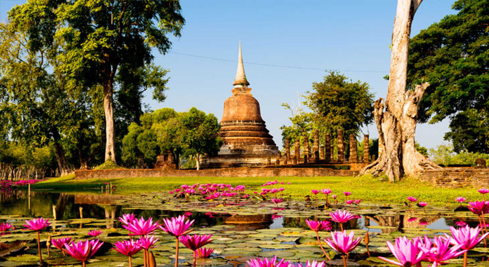 Wat Chana Songkhram tempel Sukhothai Boeddhistische tempelruïne in Sukhothai, Thailand, met roze lotusbloemen in een vijver.