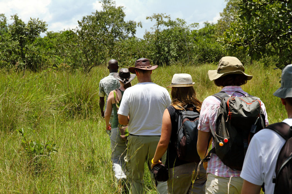 Groep wandelaars met rugzakken tijdens safariwandeling door het grasland in Oeganda.