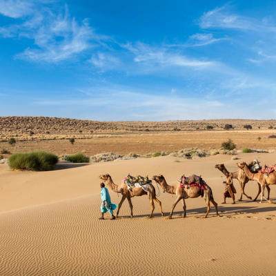 Karavaan met kamelen in de Tharwoestijn bij Jaisalmer tijdens de groepsrondreis Noord-India Compleet.