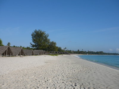 Wit zandstrand met rieten strandhutten en palmbomen aan de kust van Tanzania tijdens de route Zambia, Malawi en Tanzania.