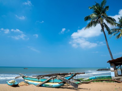Vissersboten op het strand met palmbomen aan de kust van Sri Lanka.