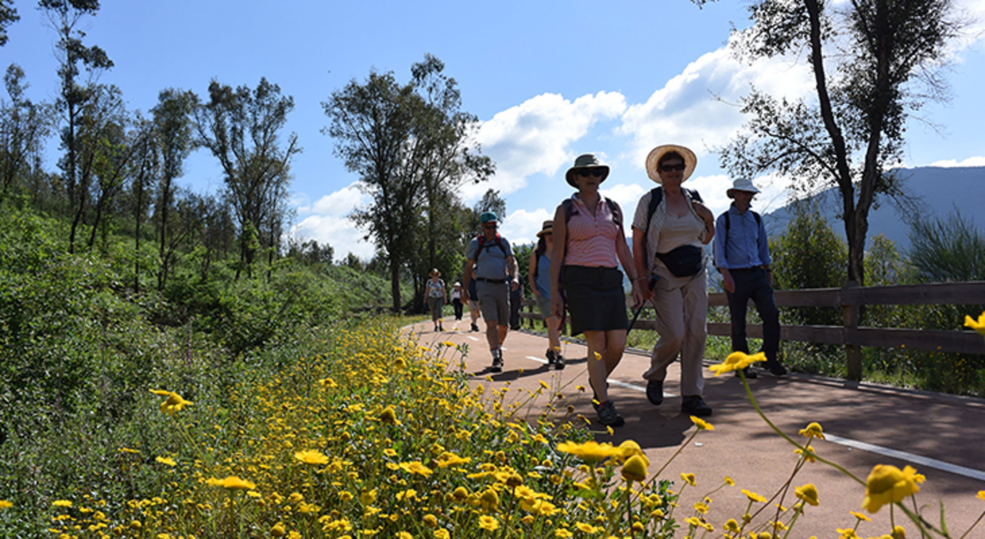 wandelvakantie-portugal Wandelaars op een zonnig wandelpad langs gele bloemen en bomen, met bergen op de achtergrond.