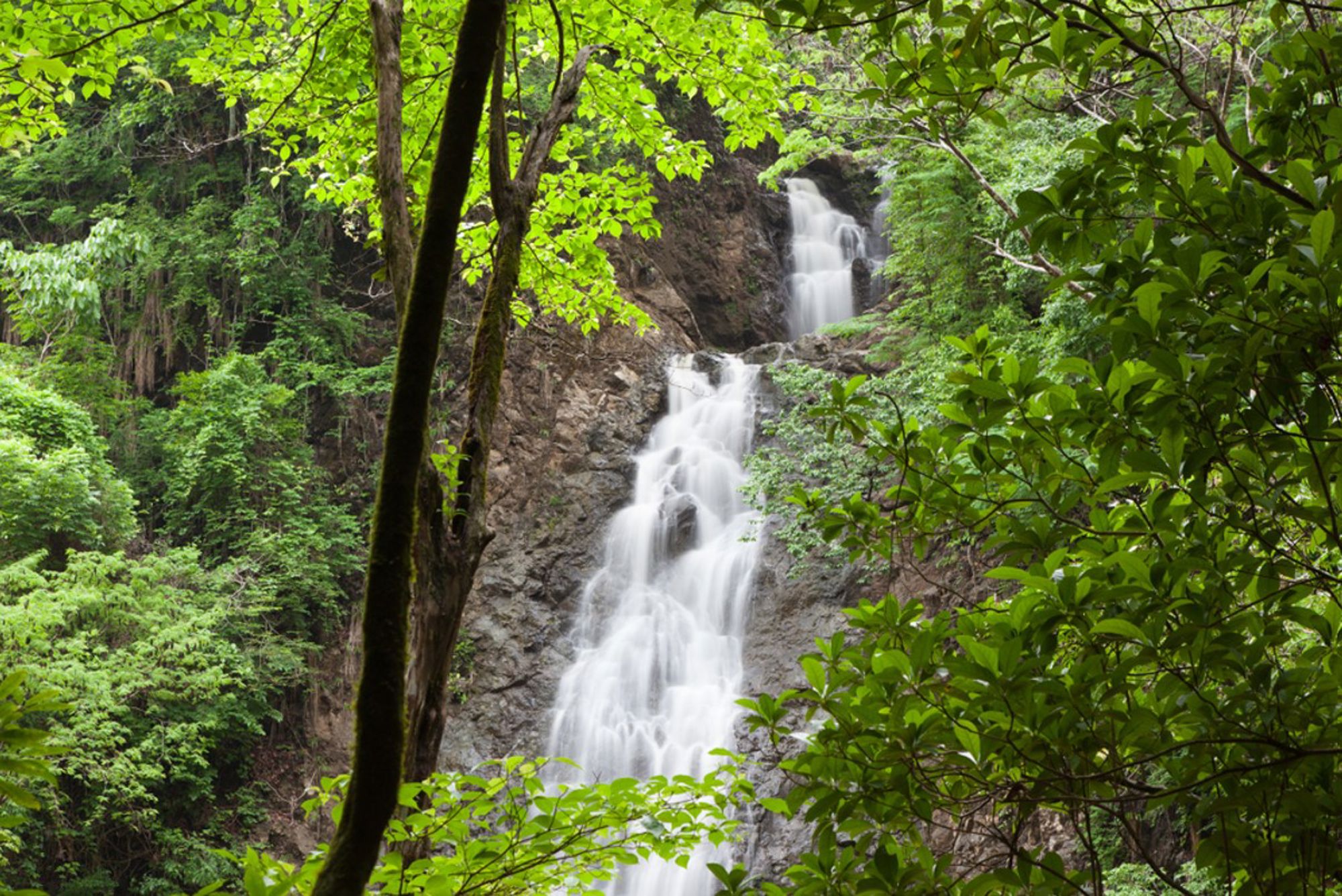 Waterval in het regenwoud van Costa Rica, omringd door weelderig groen.