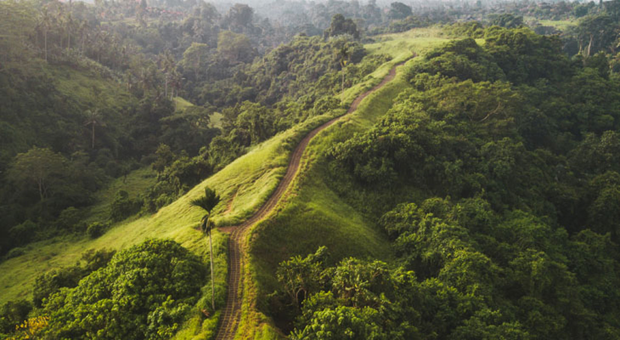 Groene heuvels met kronkelend pad door tropisch landschap in Indonesië.