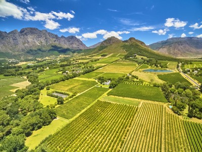 Wijngaarden in de Kaapse Wijnlanden met bergen op de achtergrond, route Johannesburg–Kaapstad.
