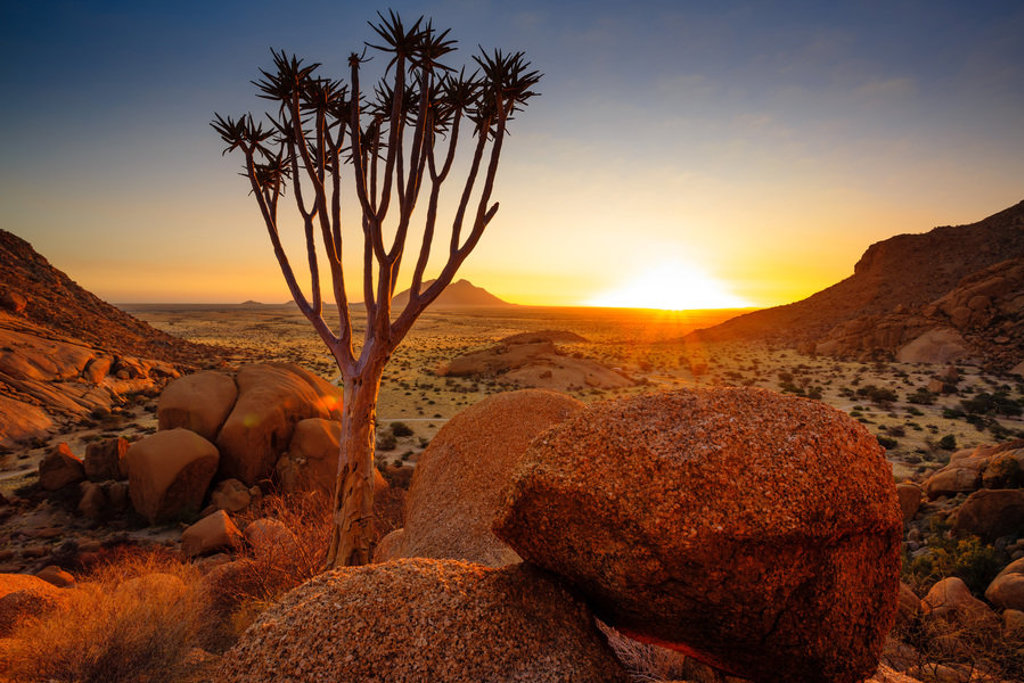 Quiver tree in rotsachtig woestijnlandschap bij zonsondergang tijdens 22-35ers reis Zuidelijk Afrika.