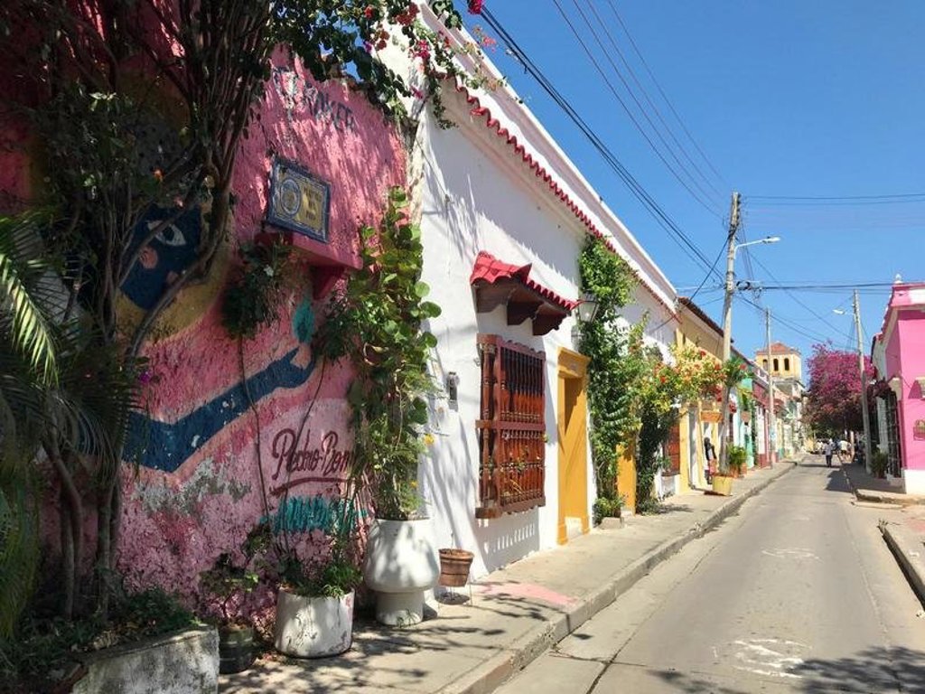 Koffieplant met groene koffiebessen in Colombia tijdens een groepsrondreis.
