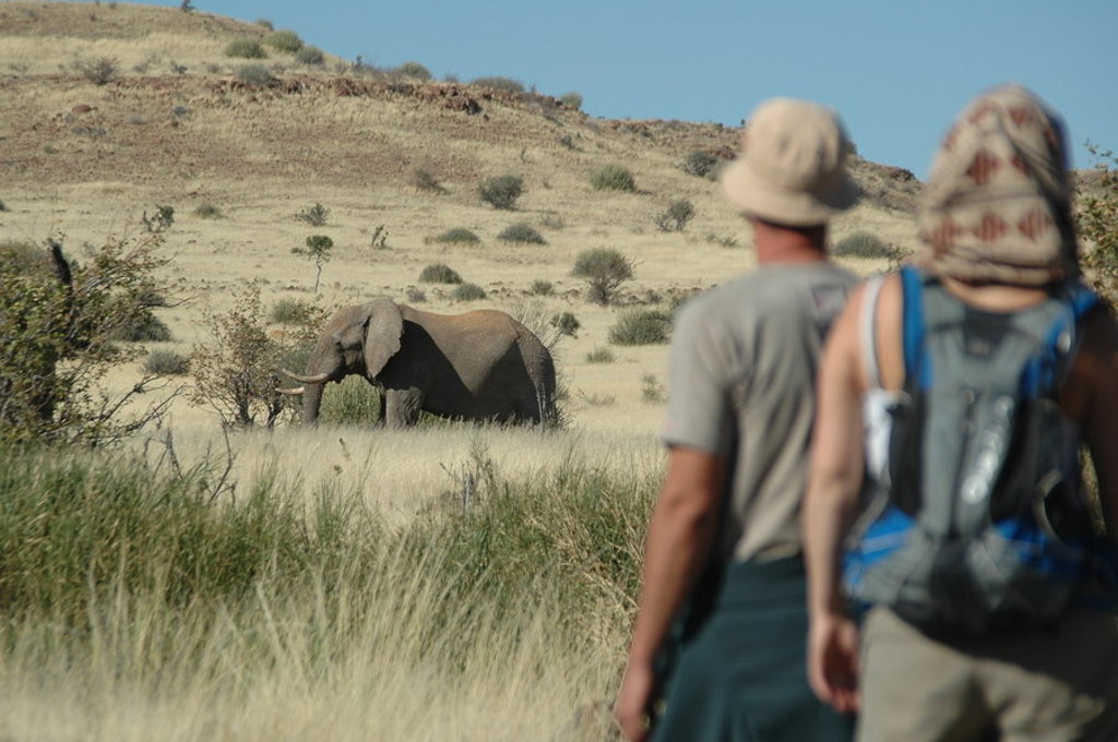 Reizigers spotten een olifant tijdens een groepsrondreis door Namibië.