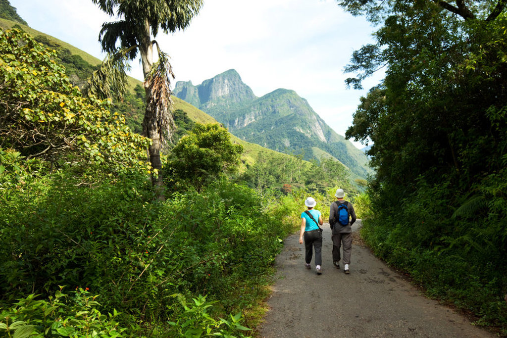 Wandelaars op een bergpad in het groene heuvellandschap van Sri Lanka tijdens een groepsrondreis Sri Lanka en Malediven.