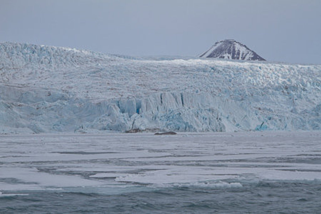 Gletsjerwand en drijfijs bij Spitsbergen tijdens groepsrondreis met de Antigua.