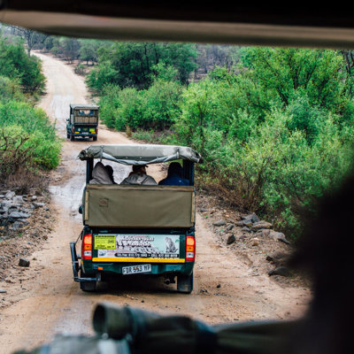 Safari-jeeps op een zandweg door een wildpark tijdens een premium groepsrondreis Zuid-Afrika.