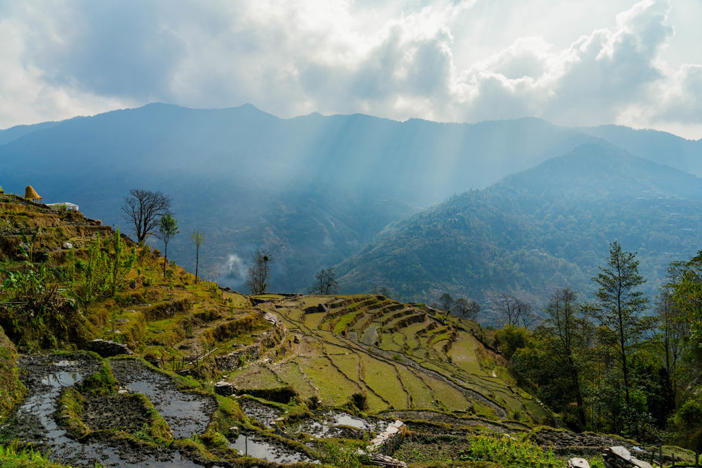 Terrasvormige rijstvelden in de Nepalese heuvels met zonnestralen door de wolken.