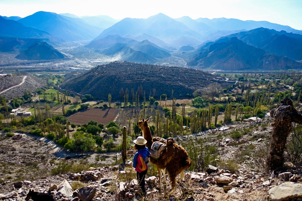 Lama met gids op bergpad met uitzicht over vallei en Andesgebergte in Argentinië.