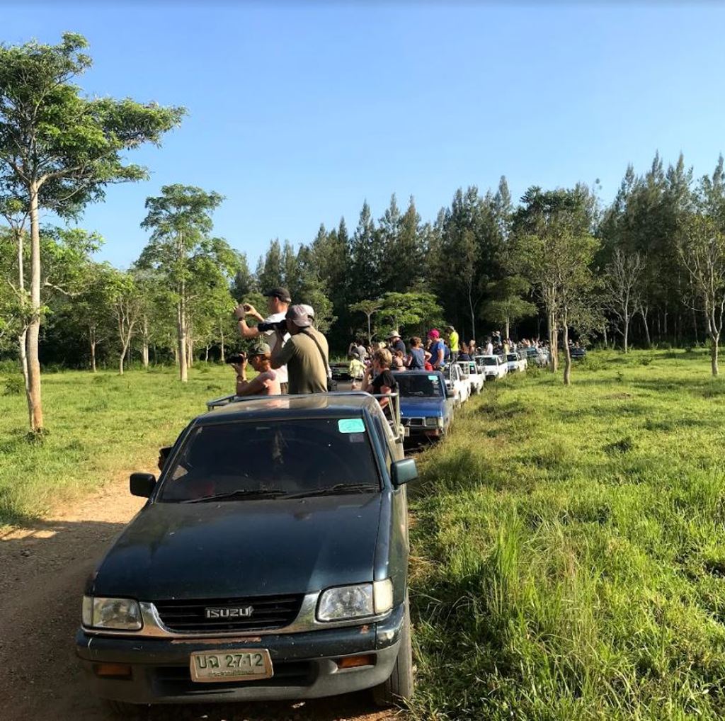 Groepsrondreis Thailand avontuur: jeepsafari met open pick-ups door groen natuurgebied.