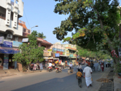 Straatbeeld in Zuid-India met winkels, scooters en voetgangers onder grote bomen.