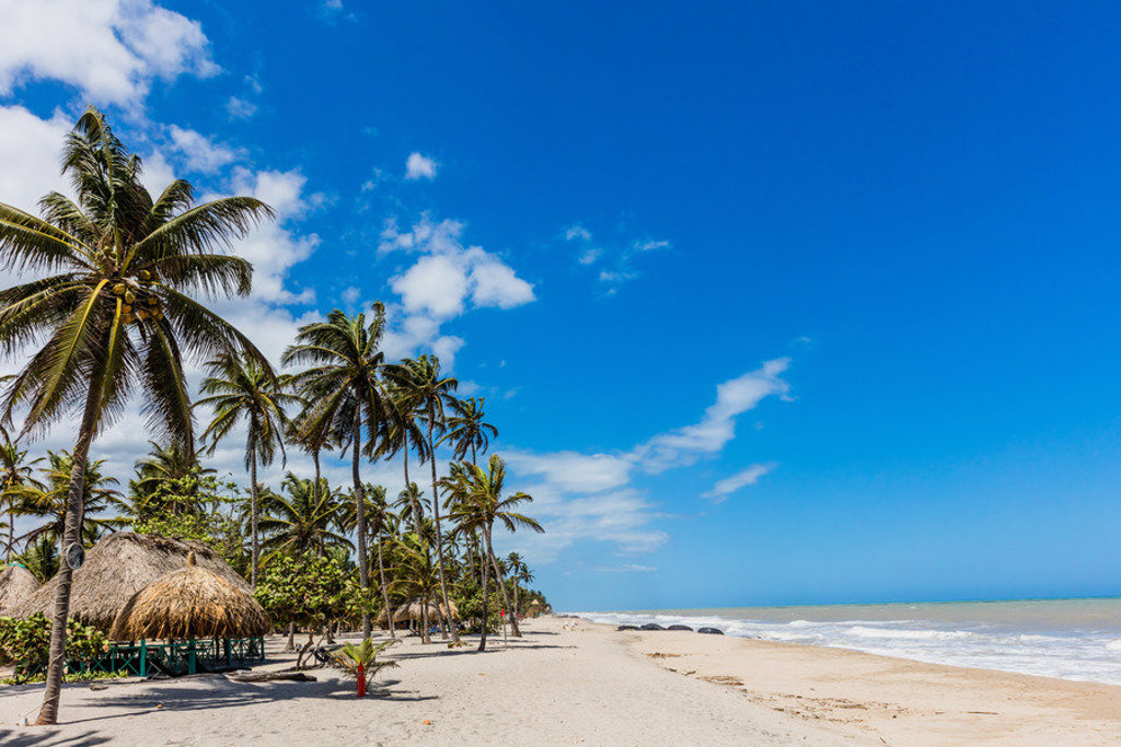 Palmen en strand aan de Caribische kust van Colombia tijdens een familiereis.