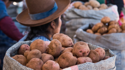Aardappelen op een markt in Peru, een van de vele lokale producten uit de Peruaanse keuken.