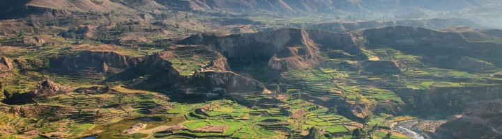 Uitzicht over de Colca Canyon in Peru met groene terrassen, rivier en bergen in de achtergrond.