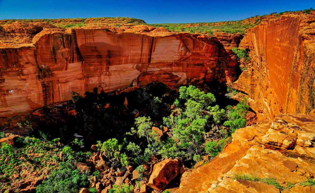 Rode rotswanden en groene begroeiing in Kings Canyon, Australië tijdens groepsrondreis Australië & Nieuw-Zeeland.