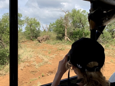 Safari in Zuid-Afrika: reiziger fotografeert twee neushoorns in de bush vanuit een open jeep.
