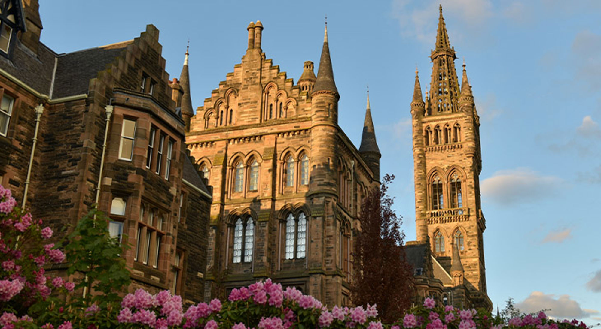 Glasgow Historische universiteitsgebouwen in Glasgow met torenspitsen en bloeiende roze bloemen op de voorgrond.