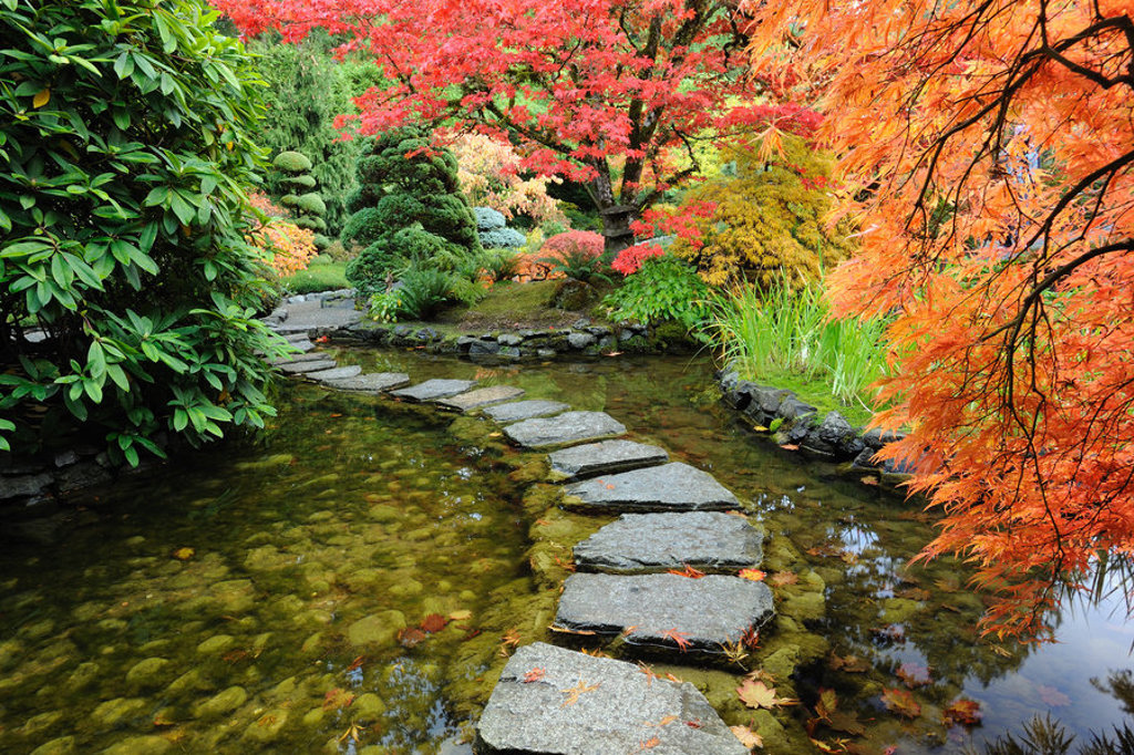 Japanse tuin met stapstenen over een vijver, omringd door kleurrijke herfstbomen in Canada West.
