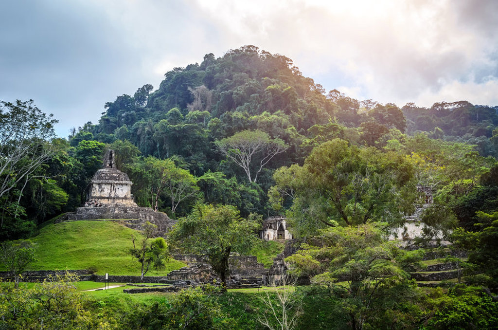 Maya-ruïnes van Palenque in het regenwoud van Mexico tijdens een 22-35ers groepsrondreis.