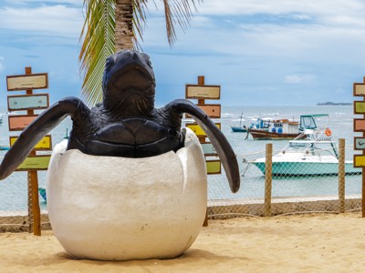 Zeeschildpadbeeld op het strand in Brazilië, met vissersboten op zee op de achtergrond.