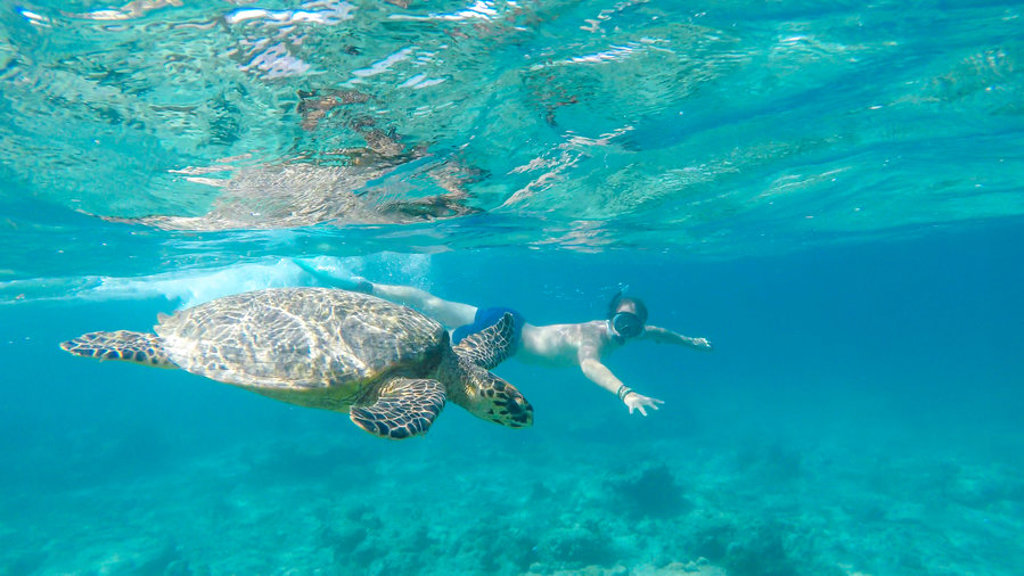 Snorkelaar zwemt naast een zeeschildpad in helderblauw water bij Bali of Lombok, Indonesië.