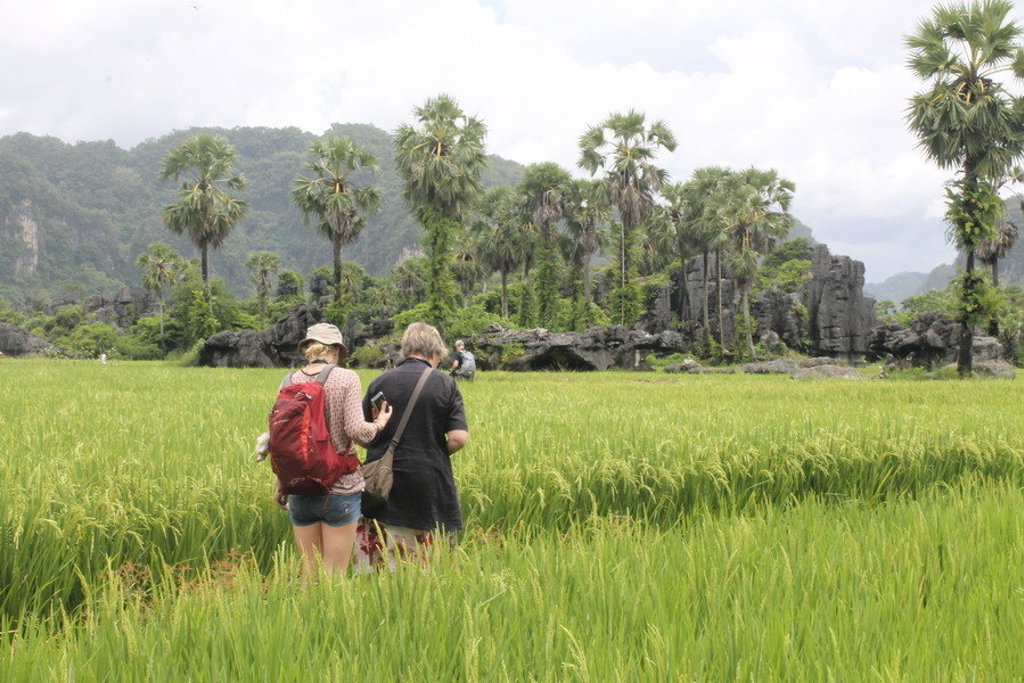 Wandelaars in een rijstveld met palmbomen en karstrotsen op Sulawesi, Indonesië.