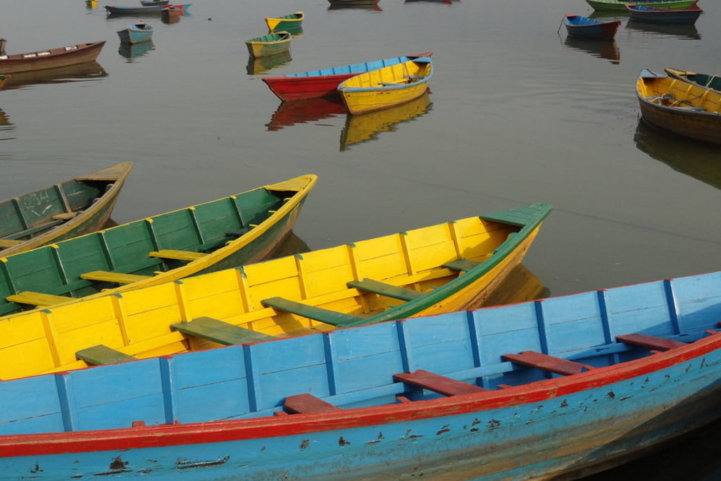 Gekleurde roeiboten op het Phewa-meer in Pokhara tijdens een familiereis Nepal.