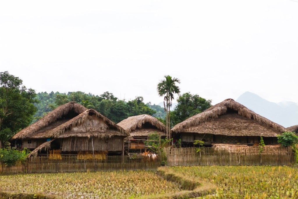 Rieten huizen in een dorp tussen rijstvelden, tijdens een groepsrondreis China & Vietnam.
