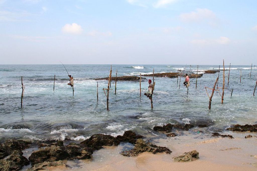 Steltvissers op houten palen in zee bij de kust van Sri Lanka.