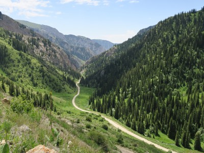 Kronkelende weg door een groene bergvallei met dennenbossen langs de Zijderoute.
