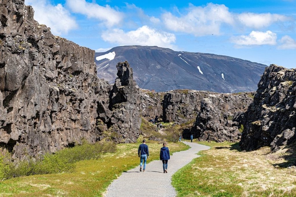 Mistig IJslands landschap met bergen en struiken tijdens een 22-35ers groepsrondreis door IJsland.