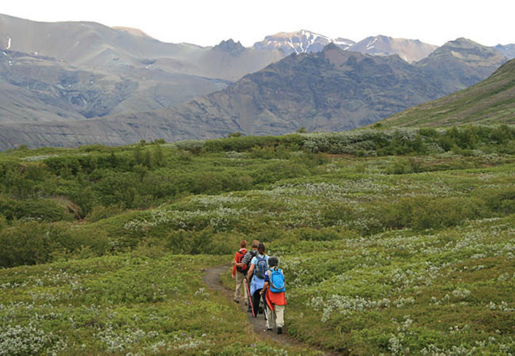 Gezin wandelt door groen IJslands landschap met bergen op de achtergrond tijdens familiereis IJsland.