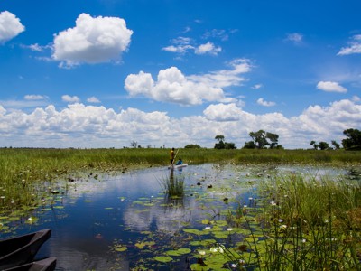 Mokoro vaart door de Okavango Delta tussen waterlelies en riet, onder een blauwe lucht met wolken.