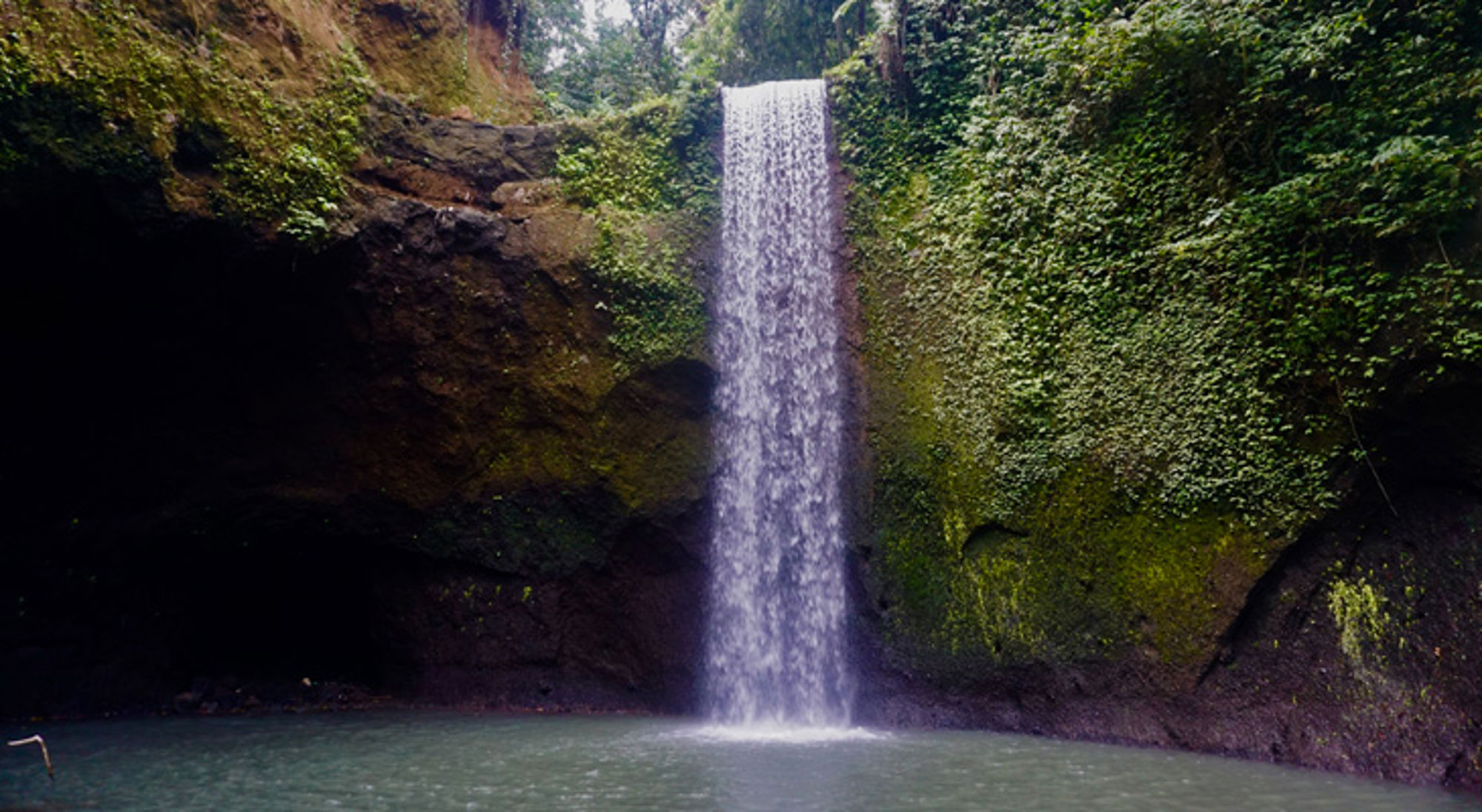 Waterval in een groene kloof die uitmondt in een natuurlijk zwembad.