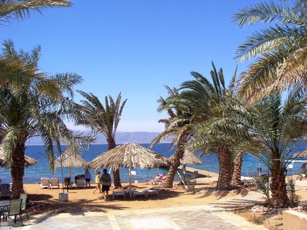 Strand aan de Rode Zee in Jordanië met palmbomen, rieten parasols en ligbedden.