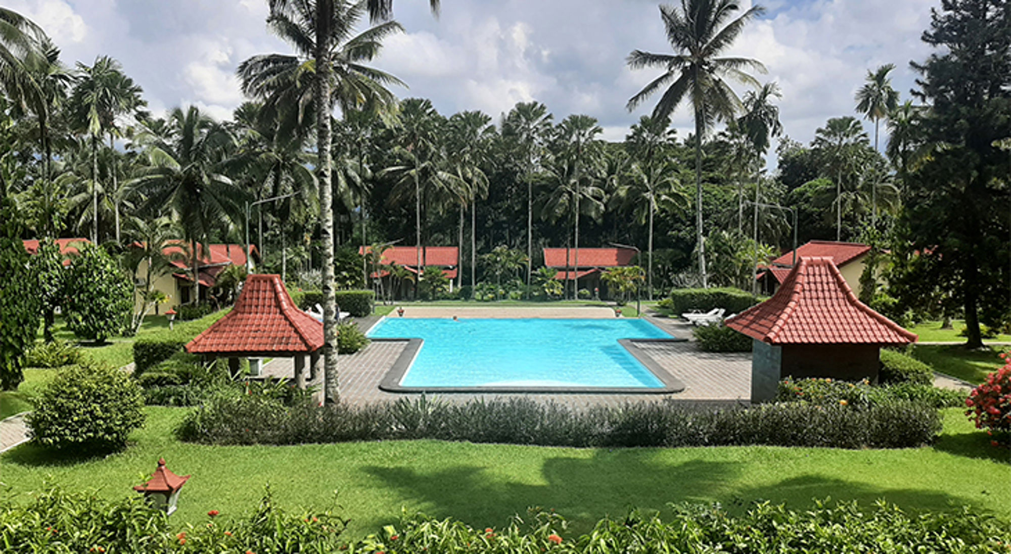 Zwembad bij tropisch resort, omringd door palmbomen en bungalows met rode daken.