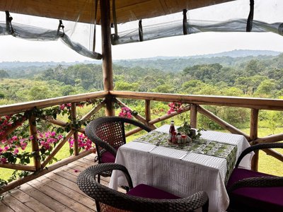 Guereza Lodge