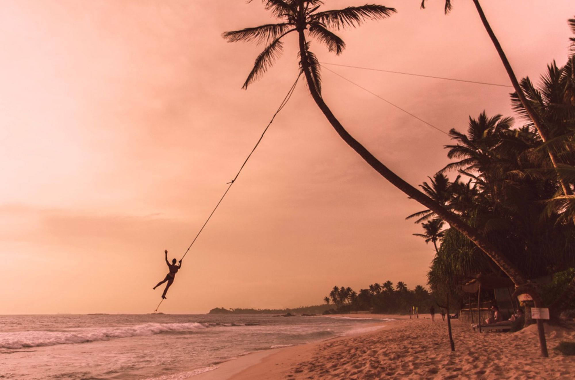 Schommel aan palmboom op het strand van Sri Lanka bij zonsondergang.