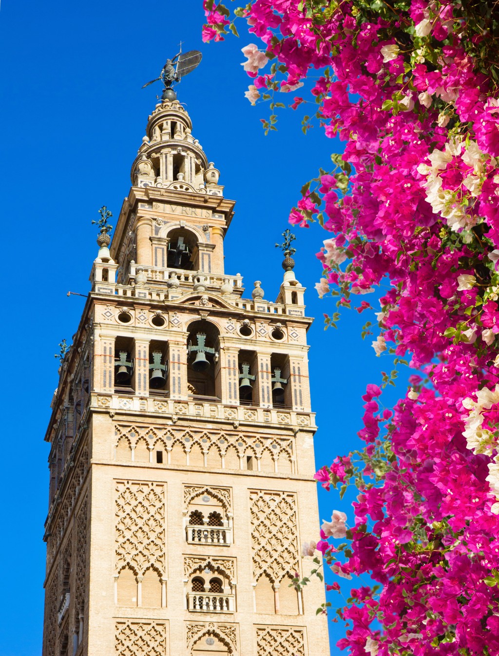 Giralda-toren in Sevilla met roze bougainvillea tegen een strakblauwe lucht, Andalusië.