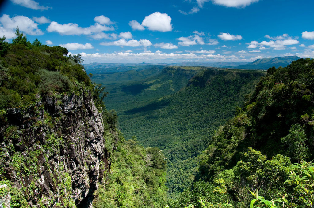 Uitzicht over de groene Blyde River Canyon tijdens een familiereis door Zuid-Afrika en eSwatini.