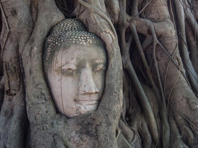 Boeddhahoofd omsloten door boomwortels bij Wat Mahathat, Ayutthaya, Thailand.